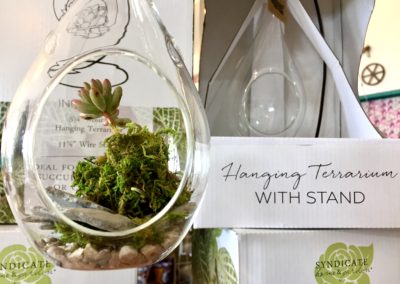 Gorgeous Terrarium