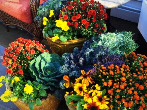 Gorgeous Fall Containers
