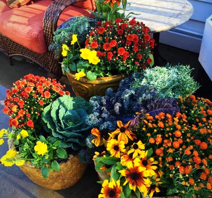 Opening September 13th for Fall Season!