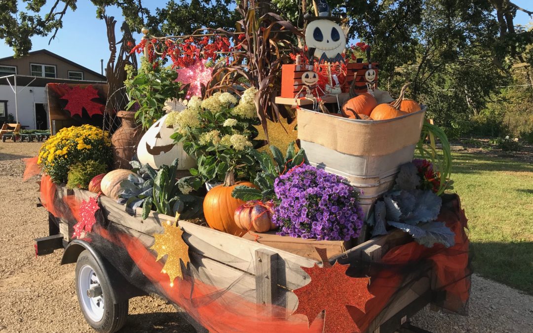 Fall Season Begins September 6th!