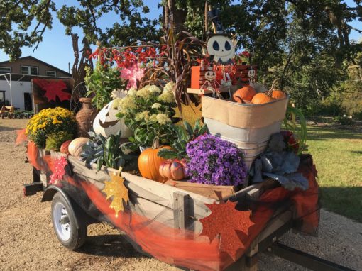 Festival of the Mounds Parade Float
