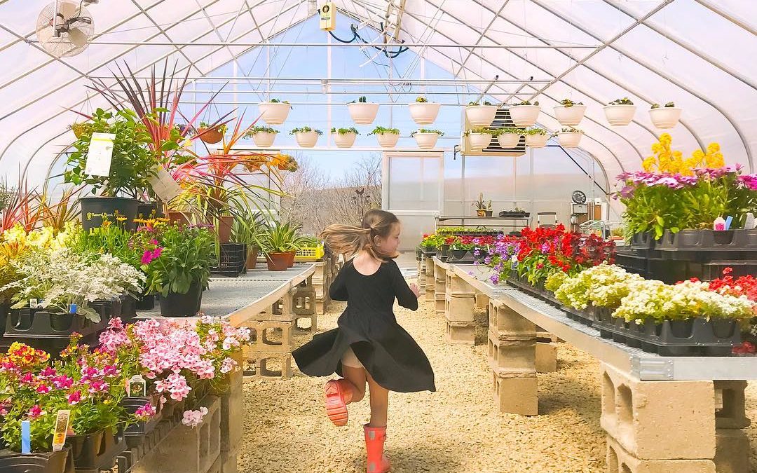 Frolic in the greenhouse!