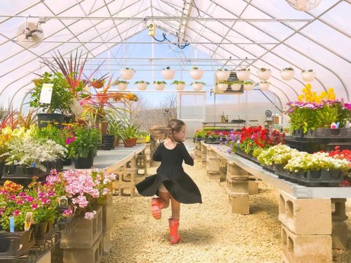 Frolic in the greenhouse!