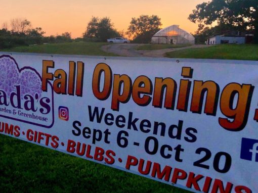Fall Opening – 2019
