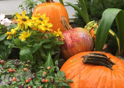 Pumpkins always spice things up!