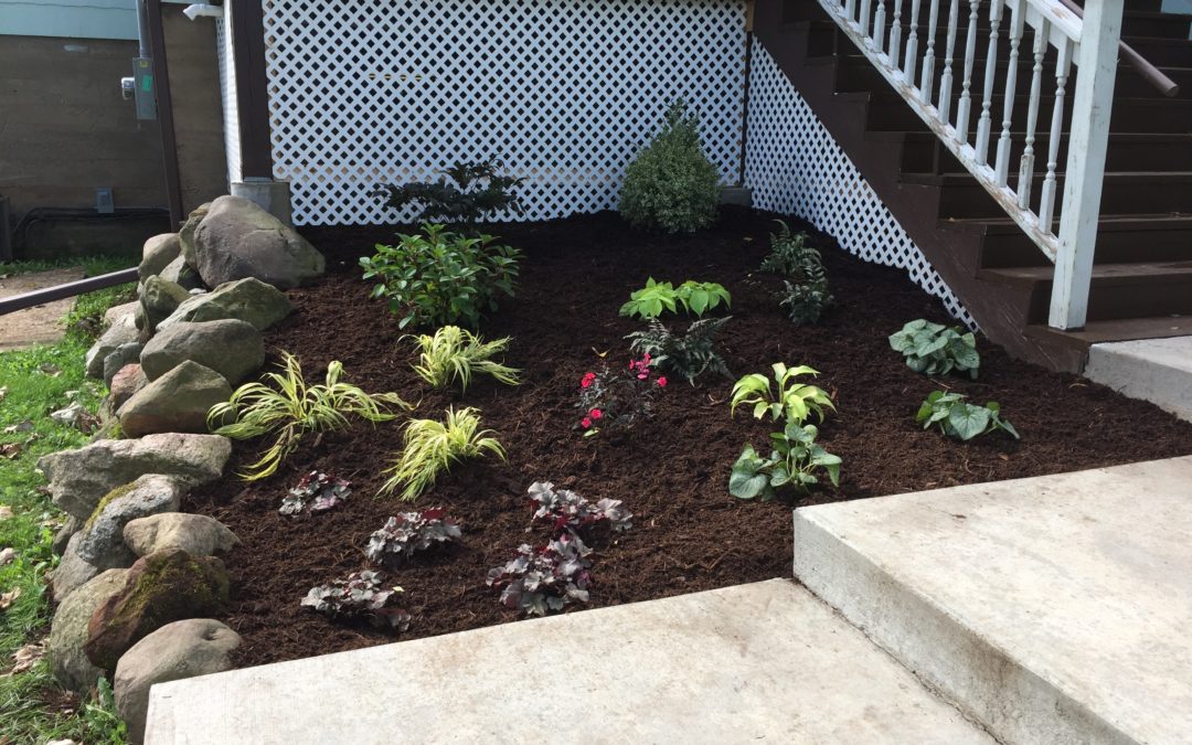 Beautiful Shade Garden