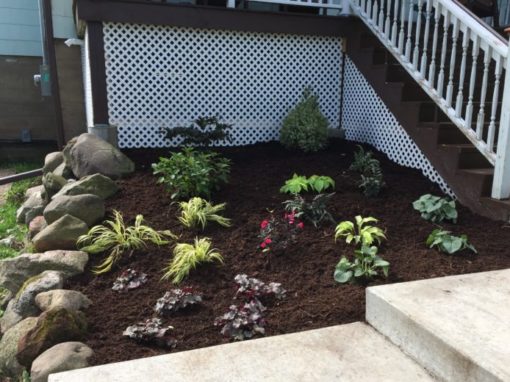 Beautiful Shade Garden