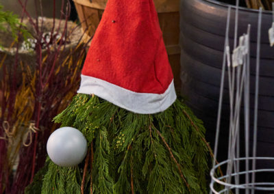 Evergreen Gnome