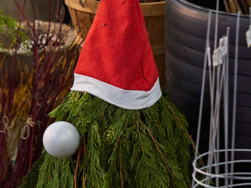 Evergreen Gnome