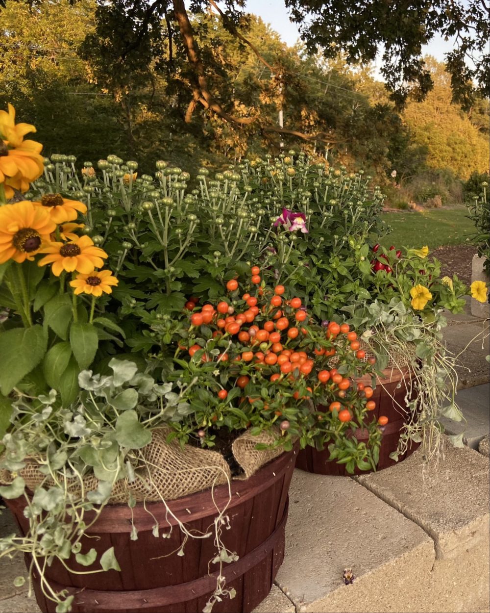 Fall Container