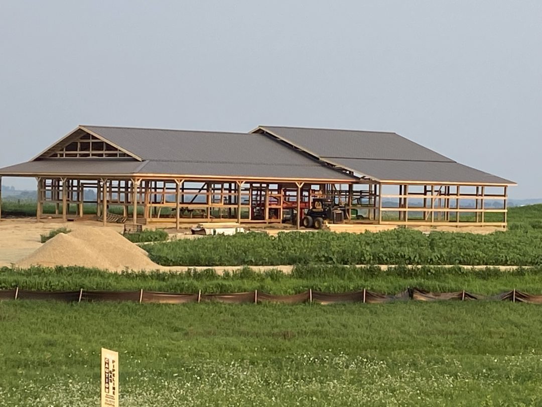 New Roof
