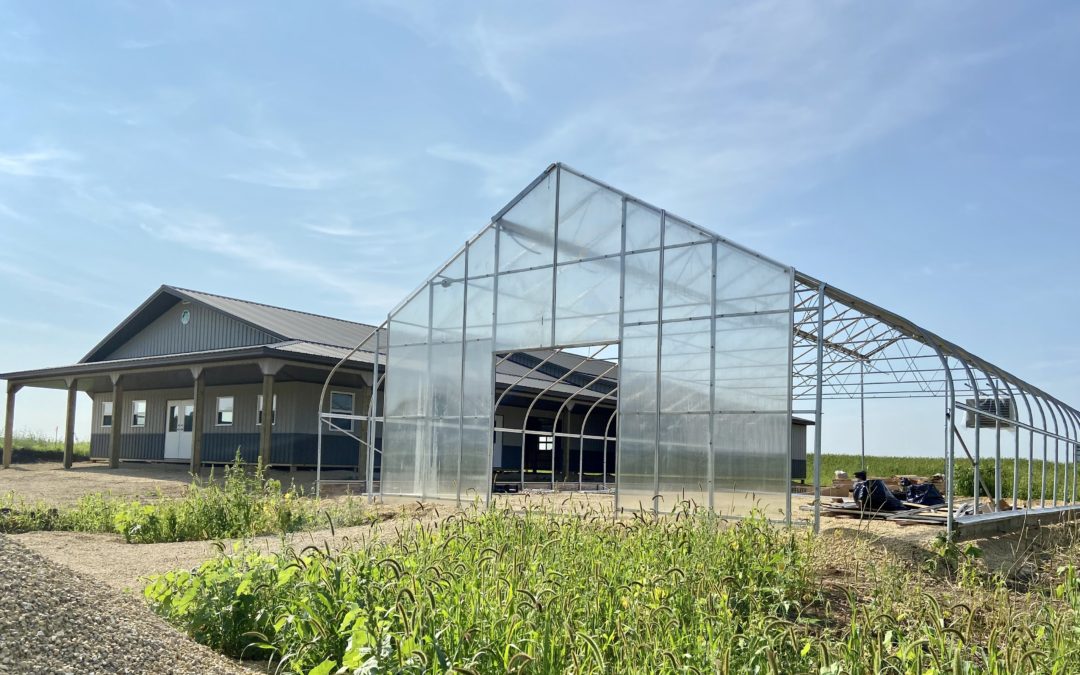 Greenhouse Relocated