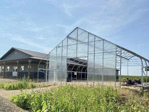 Greenhouse Relocated