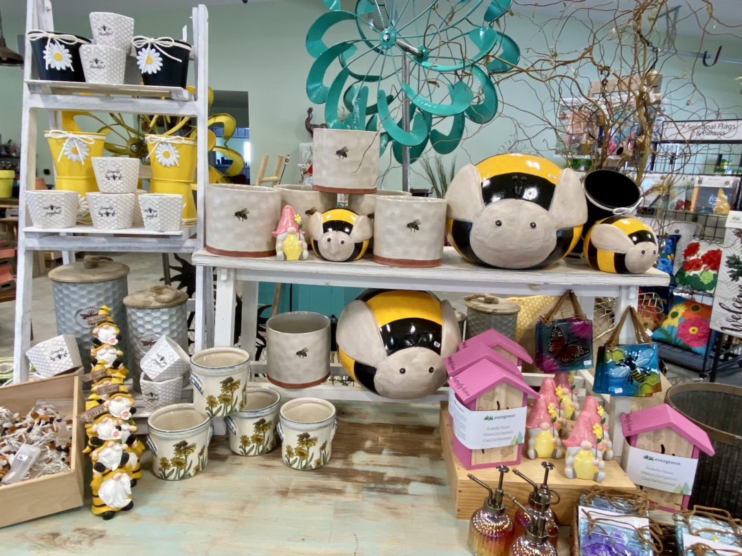 shop photo