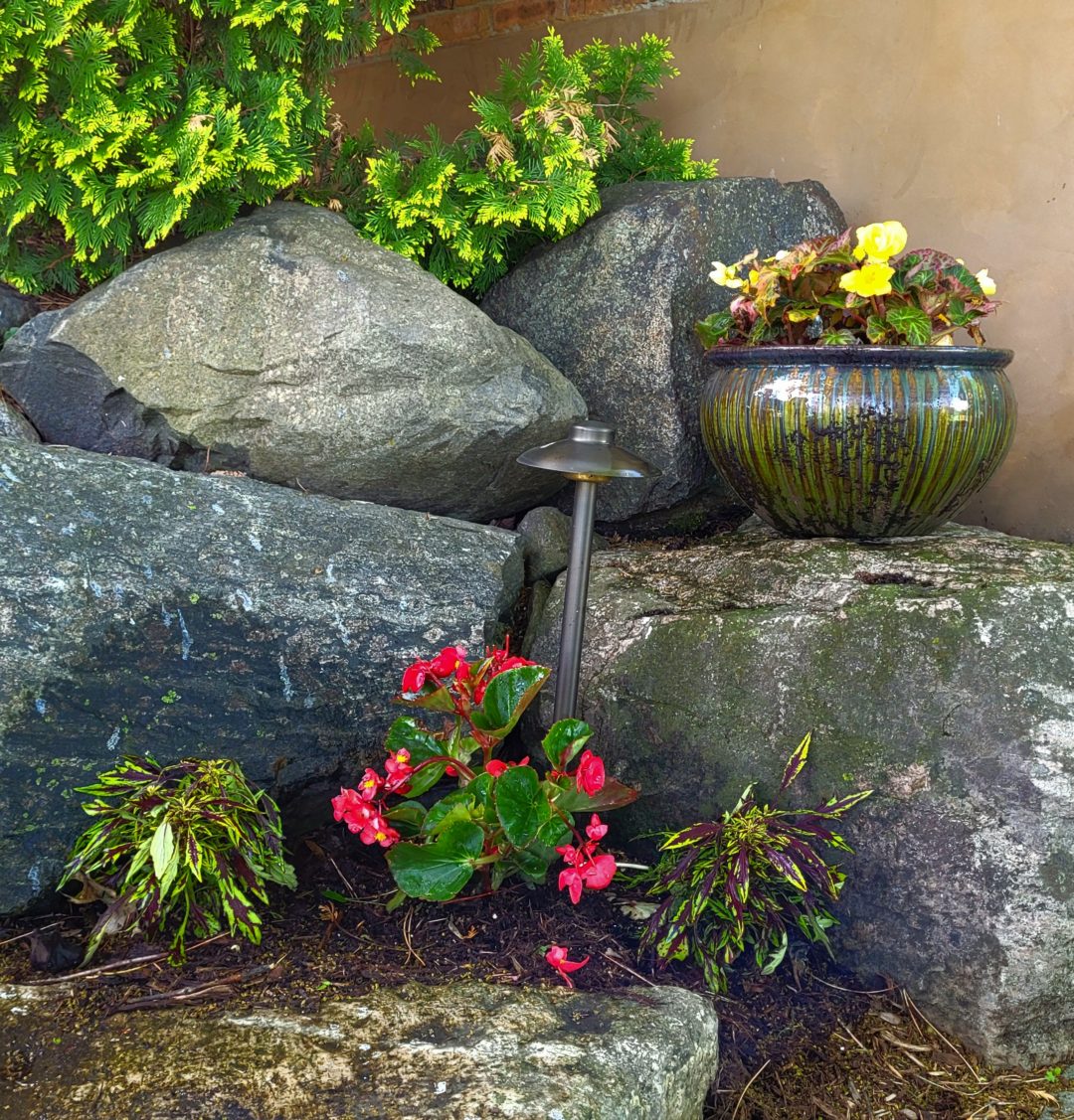 Gorgeous Pot in garden