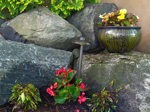Gorgeous pot in garden.