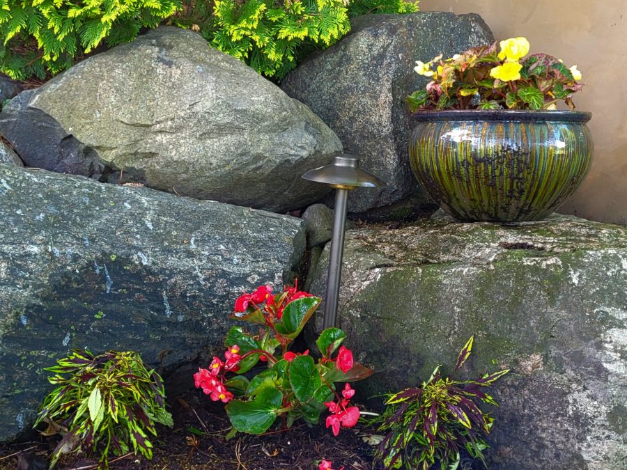 Gorgeous pot in garden.