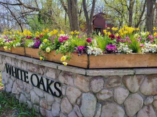 Welcome Spring Entry to White Oaks Neighborhood