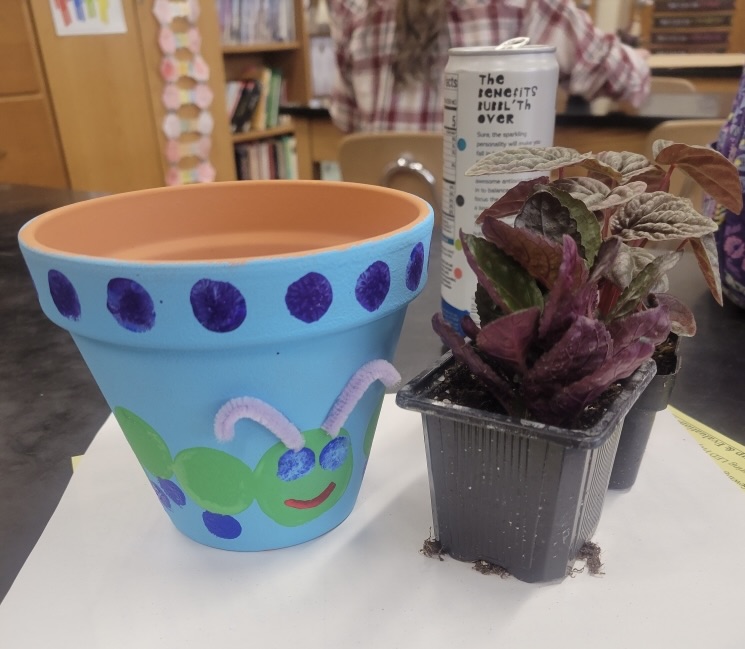 painted pot