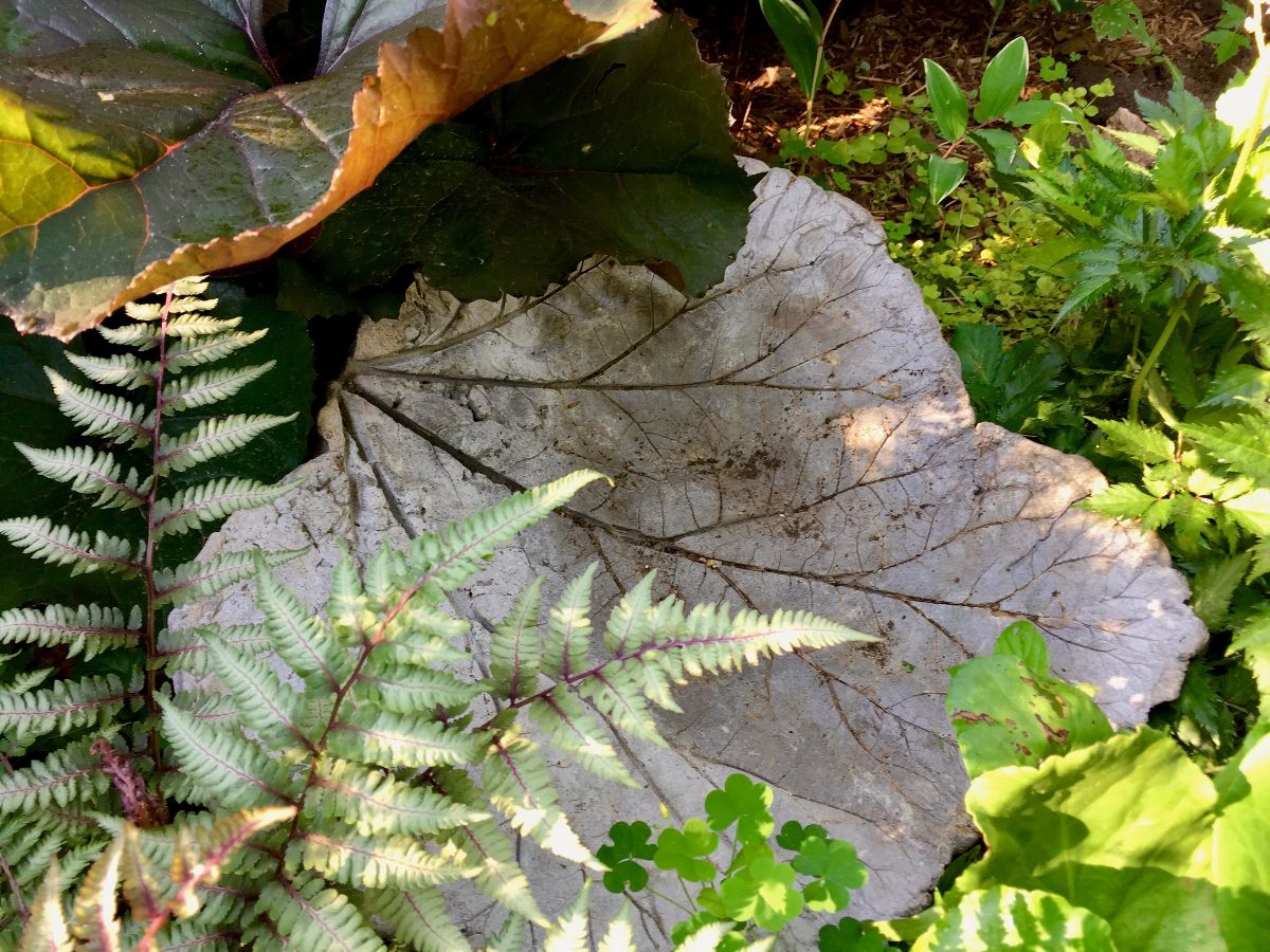 Leaf cast