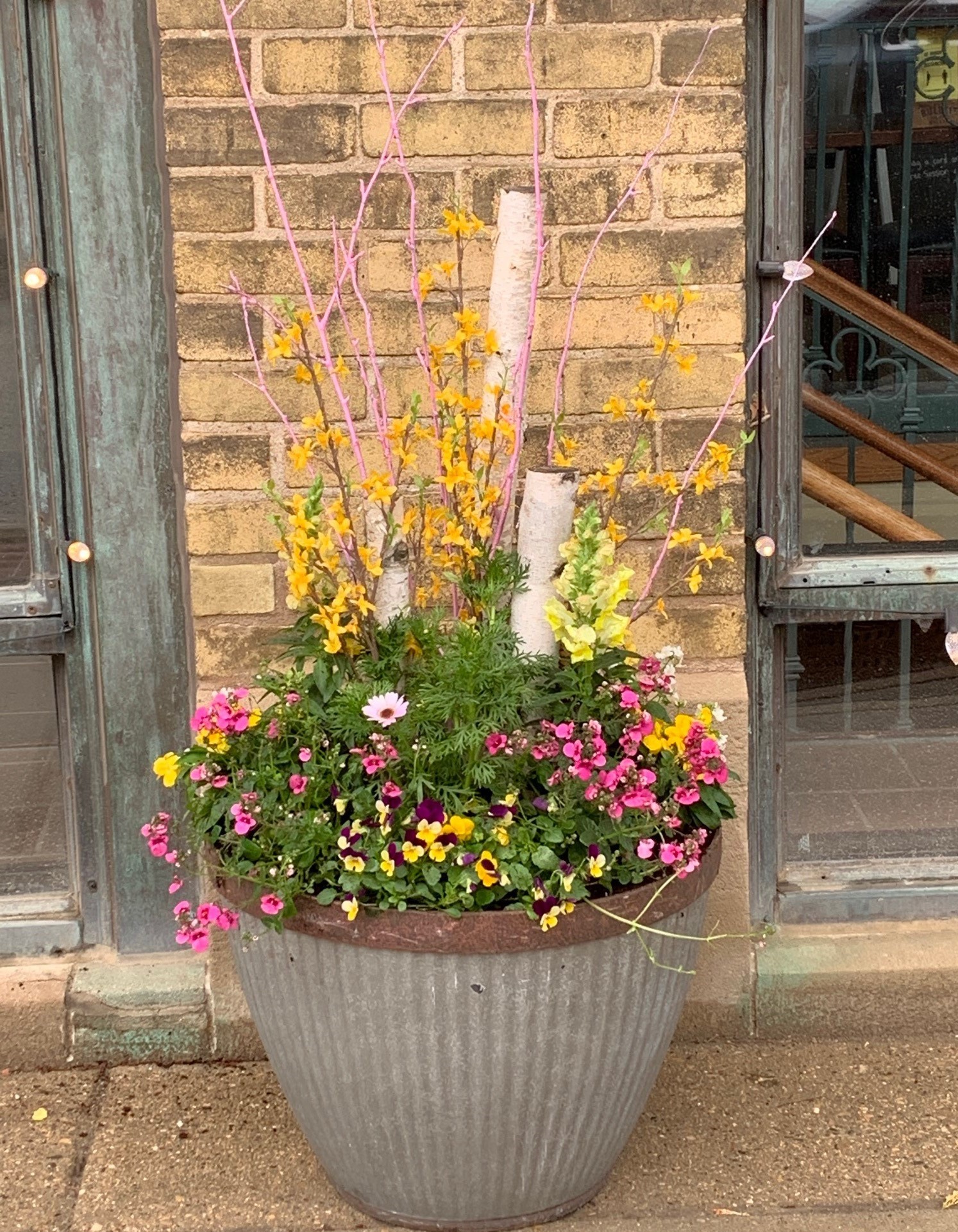 spring pot
