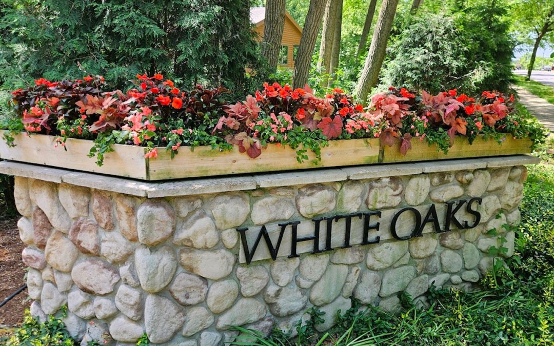 Dramatic Summer Color – White Oaks Entry