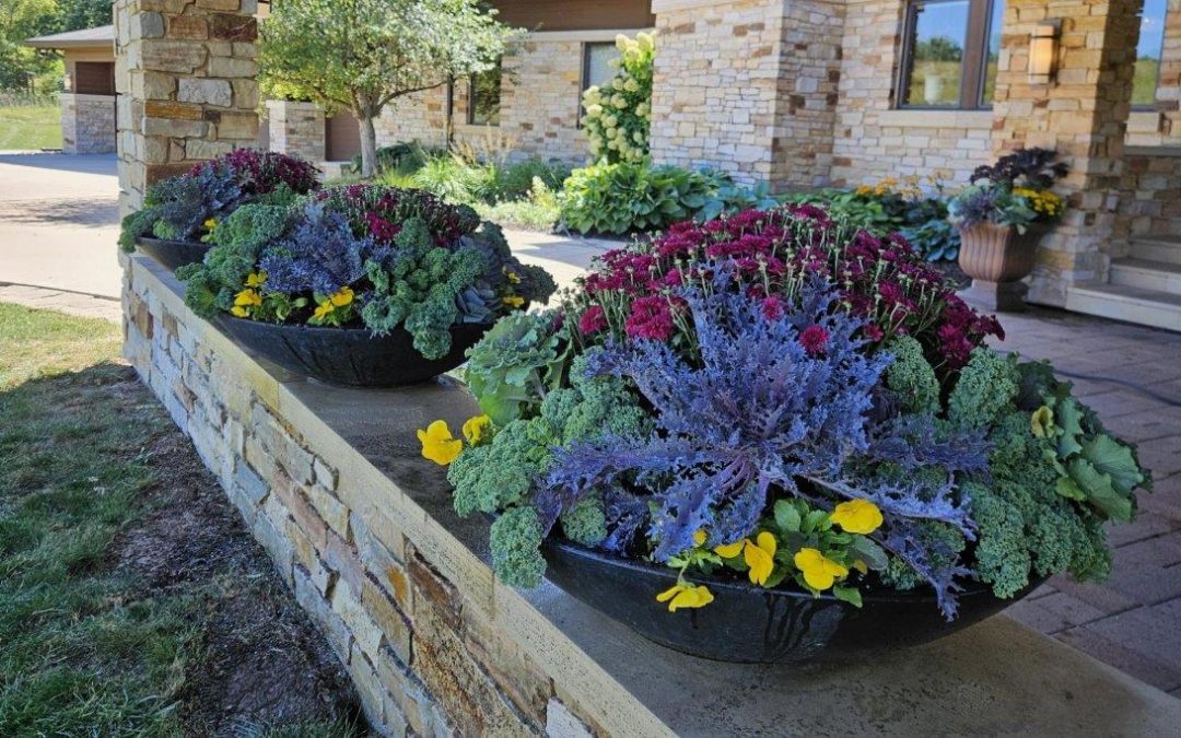 Spectacular Fall Containers!